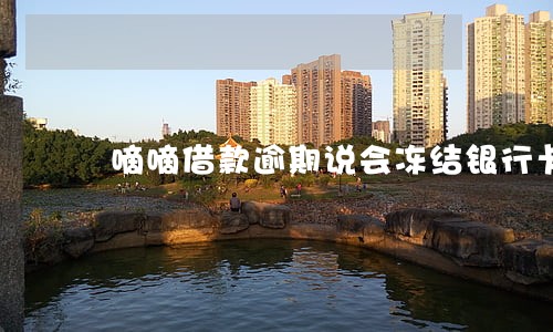 嘀嘀借款逾期说会冻结银行卡吗 嘀嘀借款逾期说会冻结银行卡吗