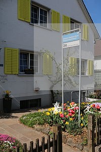 嘉兴交通事故主要责任赔偿律师 嘉兴交通事故主要责任赔偿律师
