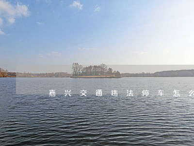 嘉兴交通违法停车怎么处罚 嘉兴交通违法停车怎么处罚