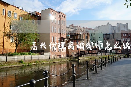 嘉兴代理离婚律师怎么收费 嘉兴代理离婚律师怎么收费