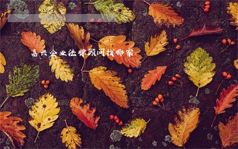 嘉兴企业法律顾问找哪家
