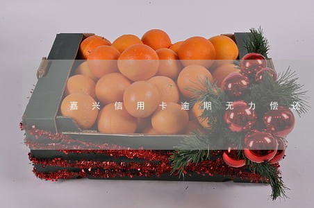 嘉兴信用卡逾期无力偿还 嘉兴信用卡逾期无力偿还