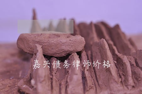 嘉兴债务律师价格 嘉兴债务律师价格