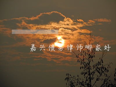 嘉兴债务律师哪家好 嘉兴债务律师哪家好