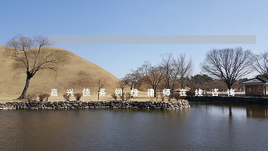 嘉兴债务纠纷律师在线咨询 嘉兴债务纠纷律师在线咨询