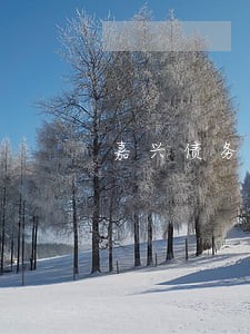 嘉兴债务纠纷律师案例 嘉兴债务纠纷律师案例