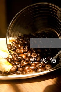 嘉兴债务资金管理律师 嘉兴债务资金管理律师