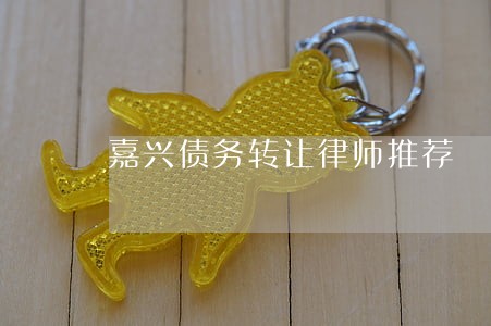 嘉兴债务转让律师推荐 嘉兴债务转让律师推荐
