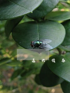 嘉兴债务追偿律师免费咨询 嘉兴债务追偿律师免费咨询