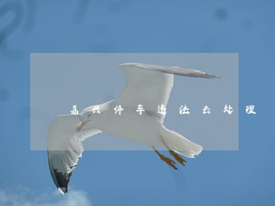 嘉兴停车违法去处理