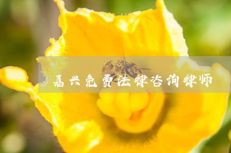 嘉兴免费法律咨询律师 嘉兴免费法律咨询律师