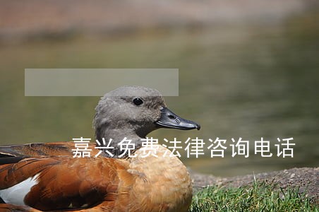 嘉兴免费法律咨询电话 嘉兴免费法律咨询电话