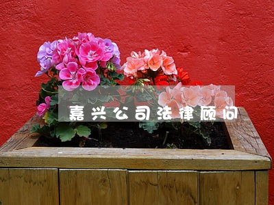 嘉兴公司法律顾问 嘉兴公司法律顾问