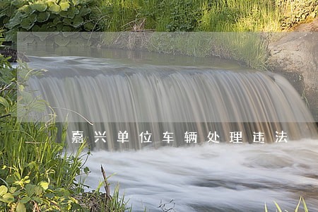 嘉兴单位车辆处理违法 嘉兴单位车辆处理违法
