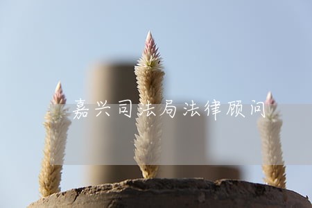 嘉兴司法局法律顾问
