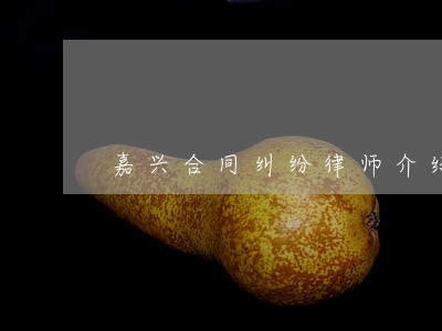 嘉兴合同纠纷律师介绍 嘉兴合同纠纷律师介绍