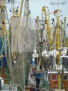 嘉兴哪里有免费法律咨询 嘉兴哪里有免费法律咨询