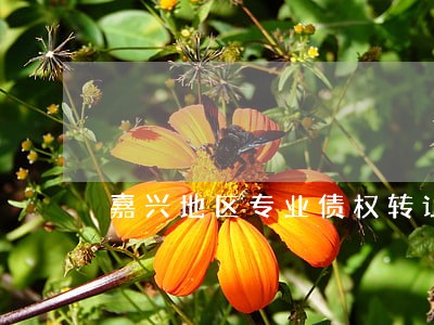 嘉兴地区专业债权转让律师 嘉兴地区专业债权转让律师