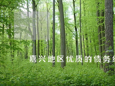 嘉兴地区优质的债务纠纷律师 嘉兴地区优质的债务纠纷律师