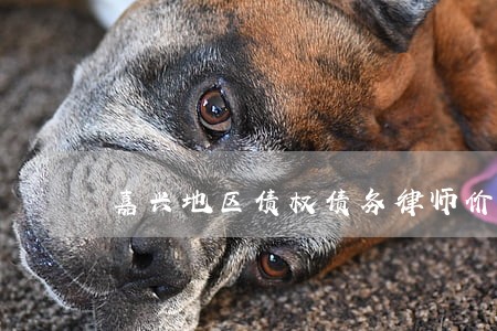 嘉兴地区债权债务律师价格 嘉兴地区债权债务律师价格