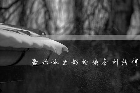 嘉兴地区好的债务纠纷律师 嘉兴地区好的债务纠纷律师