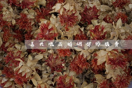嘉兴地区婚姻律师收费 嘉兴地区婚姻律师收费