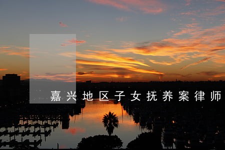 嘉兴地区子女抚养案律师介绍 嘉兴地区子女抚养案律师介绍