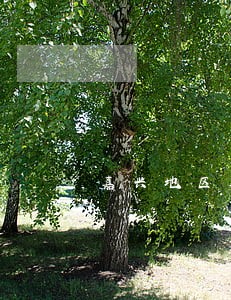 嘉兴地区欠款纠纷律师事务所 嘉兴地区欠款纠纷律师事务所
