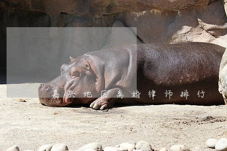 嘉兴地区离婚律师排行 嘉兴地区离婚律师排行