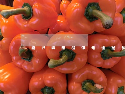 嘉兴城南司法电话是多少