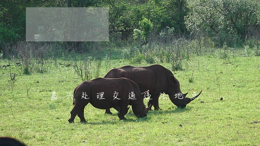 嘉兴处理交通违法地点