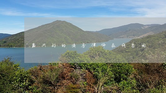 嘉兴好的债务律师在线咨询 嘉兴好的债务律师在线咨询