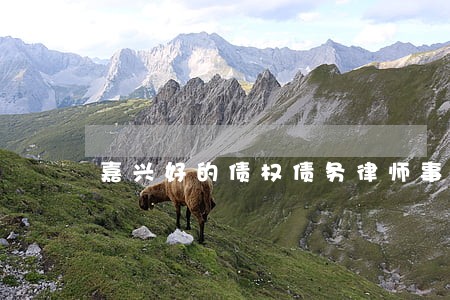 嘉兴好的债权债务律师事务所 嘉兴好的债权债务律师事务所