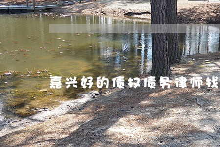 嘉兴好的债权债务律师找谁