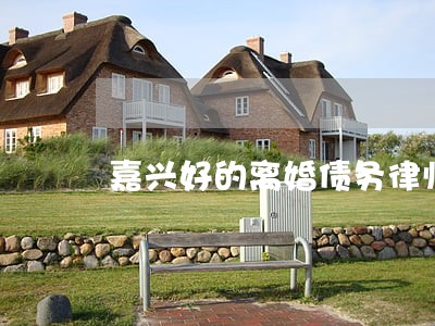 嘉兴好的离婚债务律师价格 嘉兴好的离婚债务律师价格