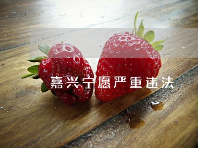 嘉兴宁愿严重违法 嘉兴宁愿严重违法