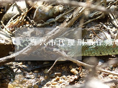 嘉兴市代理刑事律师收费 嘉兴市代理刑事律师收费