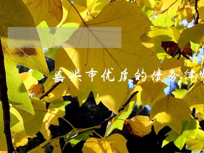 嘉兴市优质的债务律师 嘉兴市优质的债务律师