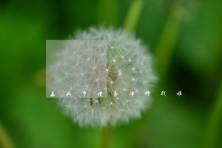 嘉兴市债务律师找谁 嘉兴市债务律师找谁