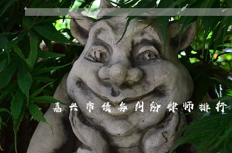 嘉兴市债务纠纷律师排行 嘉兴市债务纠纷律师排行