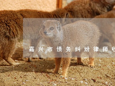 嘉兴市债务纠纷律师收费 嘉兴市债务纠纷律师收费