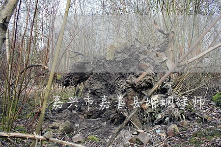 嘉兴市嘉善县婚姻律师 嘉兴市嘉善县婚姻律师