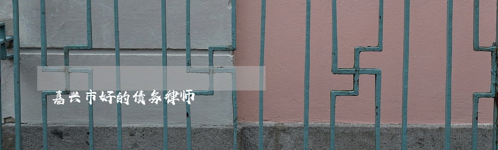 嘉兴市好的债务律师 嘉兴市好的债务律师