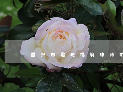 嘉兴市委托债务律师价格