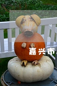 嘉兴市房产纠纷律师 嘉兴市房产纠纷律师