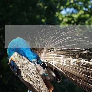 嘉兴市找债务律师排行 嘉兴市找债务律师排行