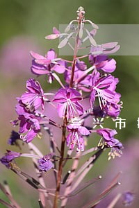 嘉兴市擅长起诉离婚律师 嘉兴市擅长起诉离婚律师