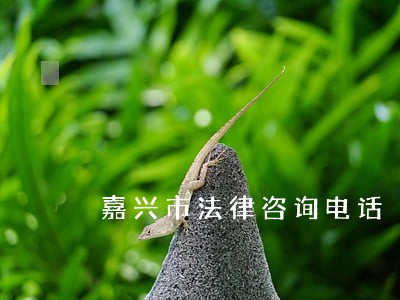 嘉兴市法律咨询电话 嘉兴市法律咨询电话