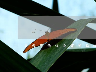 嘉兴市请债务律师找谁 嘉兴市请债务律师找谁