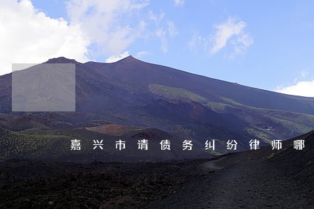 嘉兴市请债务纠纷律师哪个好 嘉兴市请债务纠纷律师哪个好
